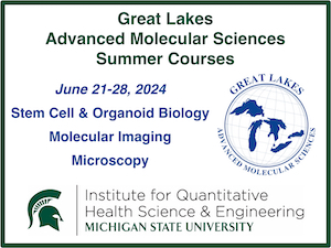 Rectangle of white background with green letters stating "Great Lakes Advanced Molecular Sciences Summer Courses; June 21-28; Stem Cell & Organoid Biology; Molecular Imaging; Microscopy". The Great Lakes logo is a white circle with five lakes in blue. A green Michigan State University trojan logo is next to words "Institute for Quantitative Health Sciences and Engineering".