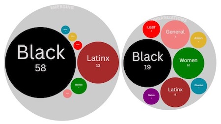 Illustration depicting diversity stakeholder communities as clusters of circles colored by cultural designation. Circles are colored according to the following roster of culture and corresponding color in parentheses: Asian (yellow), Black (black), Disabled (blue), General (pink), Latinx (brown), LGBT (red), Native (purple), Women (green). Each cluster of similar communities appears together in a larger circle with its name in white text and the number of communities totaled below the label such as 9 Latinx communities. Finally, the communities are separated into two large gray circles as either "emerging" on left versus "organizations" on right.